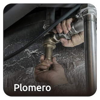 Servicio solicitado 1