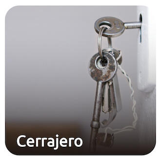 Servicio solicitado 4